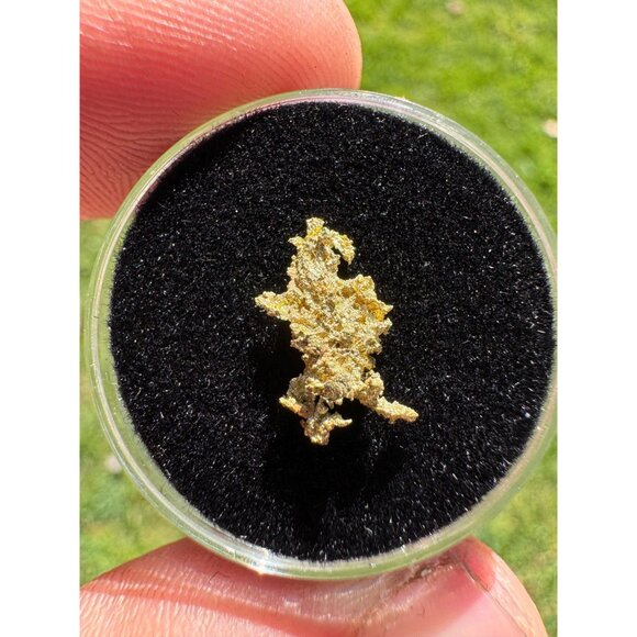 California Gold Crystal - 0.40 grams - Picture 2 of 5
